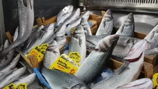 Balık yemenin insan sağlığına faydaları