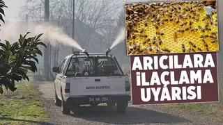Akyazı Belediyesinden Arıcılara ilaçlama uyarısı 