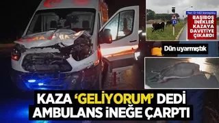Akyazı'da ambulans ineğe çarptı