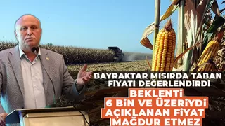 Ali Şener Bayraktar, açıklanan mısır alım fiyatının üreticinin beklediği fiyatın altında kaldığını söyledi