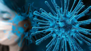 Danimarkalı bilim insanı koronavirüsün sonu için tarih verdi