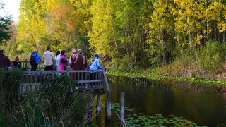 Doğa yürüyüşleri Maden Deresi Acarlar Longozu parkuru ile devam etti