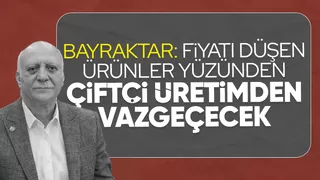 Düşük kalan fiyatlar çiftçinin belini büküyor