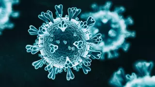 Endişe verici bir koronavirüs varyantı tespit edildi
