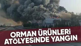 Geyve'de büyük fabrika yangını