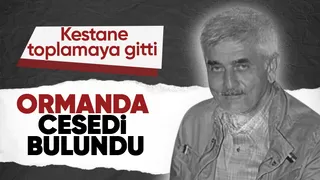 Kestane toplamaya giden kayıp yaşlı  adamın cesedine ulaşıldı