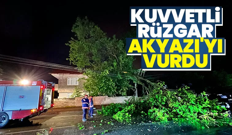 Kuvvetli rüzgar Akyazı'da ağaçları devirdi
