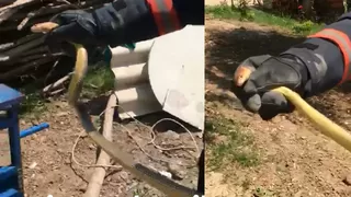 Odunluğa giren yılan paniğe neden oldu