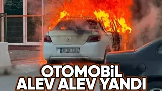 Otomobil alevlere teslim oldu