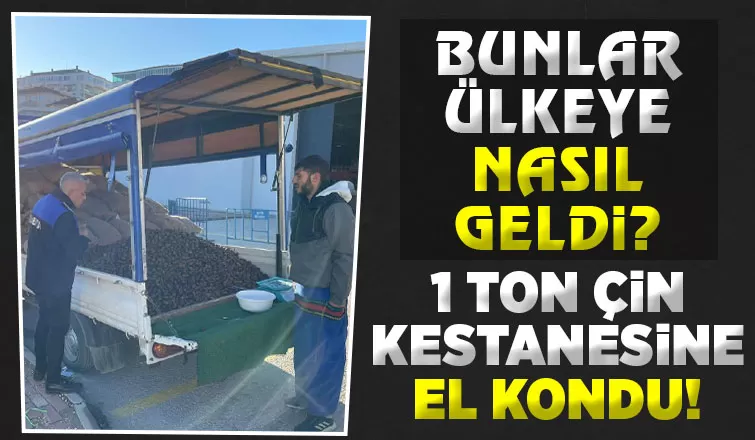 Sağlığı tehdit eden 1 ton Çin kestanesine el kondu