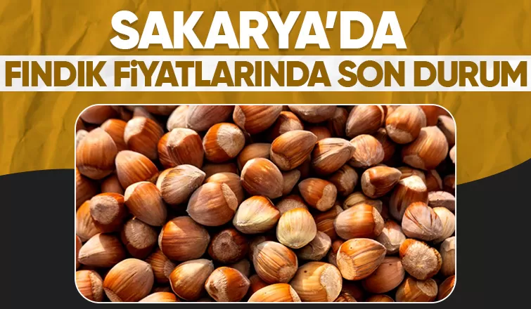 Sakarya'da fındık fiyatları belli oldu