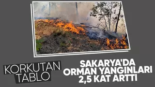 Sakarya'da orman yangınlarında korkutan artış