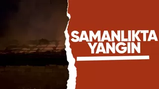 Samanlık yangını büyümeden söndürüldü