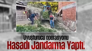 Taraklı'da jandarmadan uyuşturucuya darbe