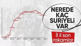 Türkiye'de en çok Suriyelinin yaşadığı 10 il